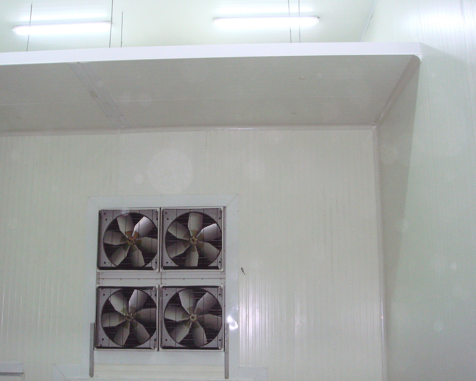 Couloir réfrigéré station frigorifique fruitiére