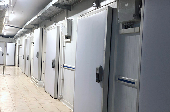 Chambres froides02 COULOIR