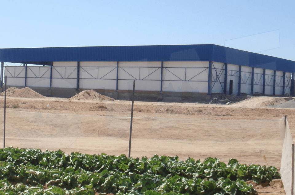 02 - SERVICES - Entrepôts frigorifiques01 EUP entrepot frigorifique légumes