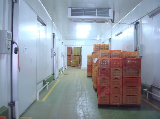 02 - SERVICES - Entrepôts frigorifiques02 EUP Station Pommes de terre Soliman ok