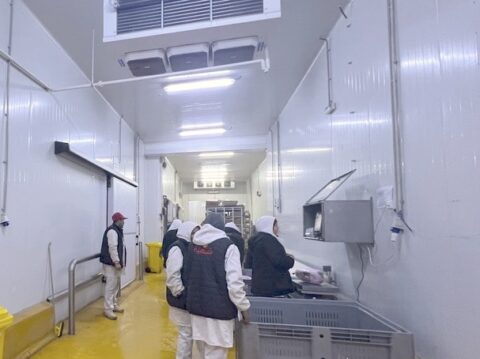 03 - SERVICES - Froid industriel03 EUP Usine CHAHIA