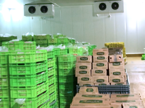 03 - SERVICES - Froid industrielCF NÉGATIVE MLIHA