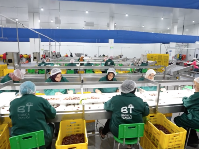 05 - SERVICES - Climatisation industrielle01 TNP Salle de tri dattes