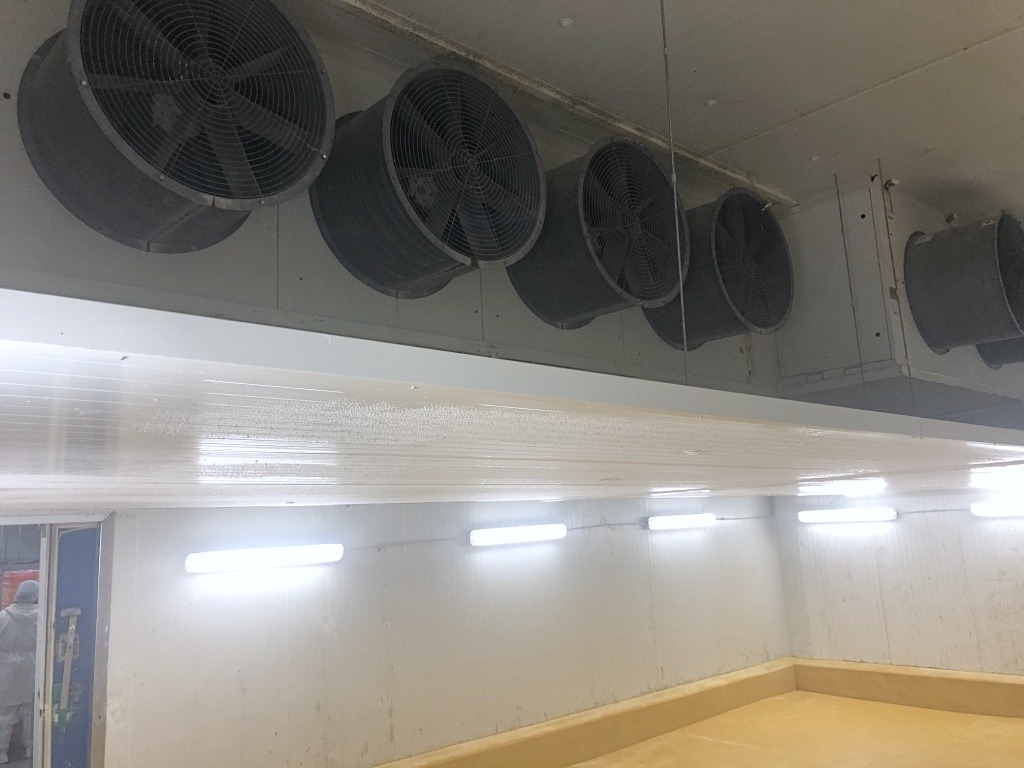 Quick Cooling Tunnels – STAF