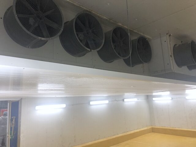 12 - SERVICES – Tunnels de refroidissement rapideRessuage dindes