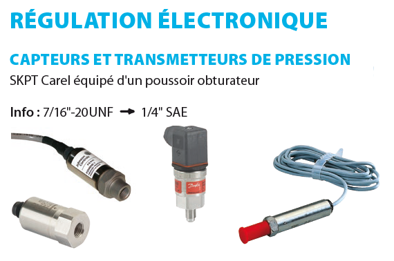 17 - SERVICES – Régulation et GTC 05 EUP capteur de pression carel