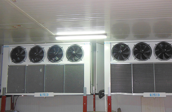 Tunnels de refroidissement rapidePre╠ücooling framboises