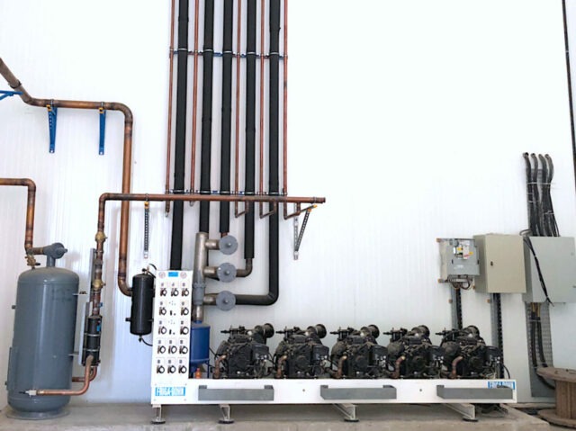 04-A-Couloir-refrigere-statiodsdn-frigorifique-Chebli-Algerie-scaled