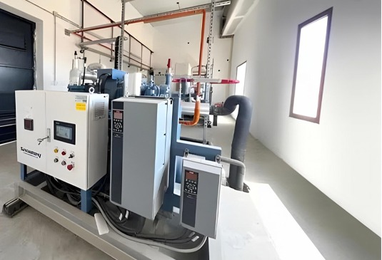 BKFood-International 6