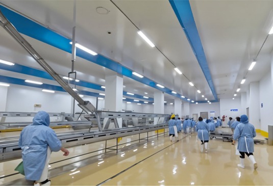 BKFood-International 7