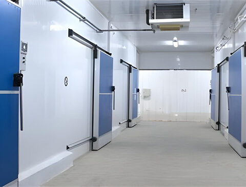 Construction-of-Negative-Cold-Room-Complex-with-Airlock-and-Loading-Dock-Jedaida