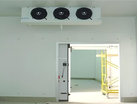 Construction-of-Refrigeration-Complex-with-Refrigerated-Corridor-Borj-Toumi