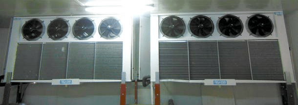 Construction of a 1,100 m³ Negative Cold Storage Facility – Sousse