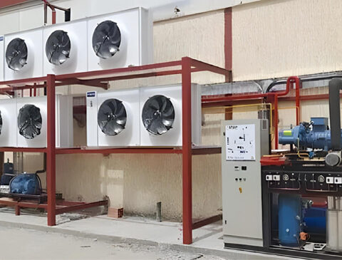 Export-Project-to-Algeria-2