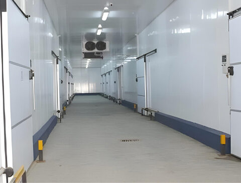 Refrigeration-station-for-potatoes-and-fruit-and-vegetables-Bousalem