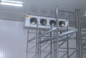 Sans titreGrombalia Beni Khalled, Tunisia 2