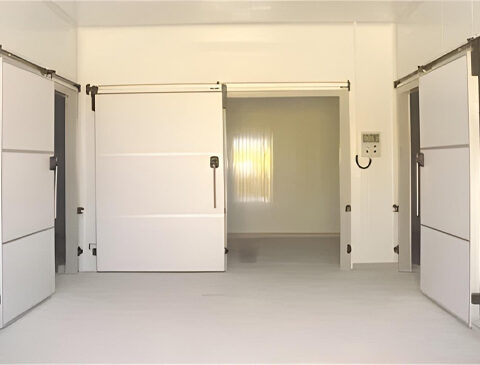 Construction-of-Refrigeration-Complex-with-Isothermal-Sorting-Room-El-Batan-1