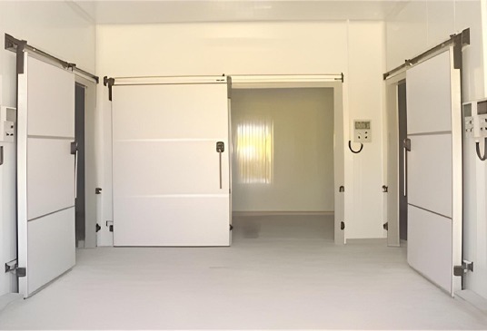 Construction-of-Refrigeration-Complex-with-Isothermal-Sorting-Room-El-Batan-1