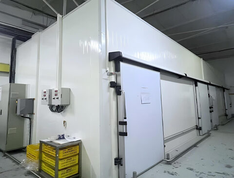 Design-and-Implementation-of-Rapid-Cooling-Tunnels-for-Packaged-Processed-Cheese 1