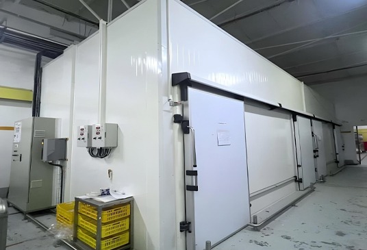 Design-and-Implementation-of-Rapid-Cooling-Tunnels-for-Packaged-Processed-Cheese 1