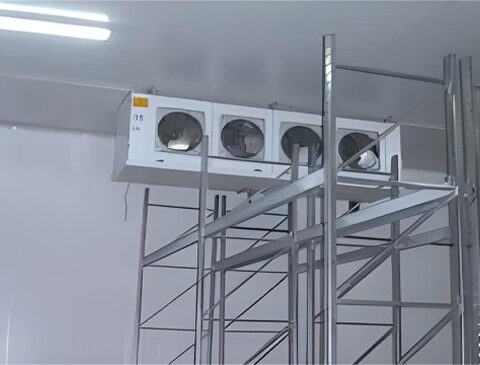 Grombalia-Beni-Khalled-Tunisia-2