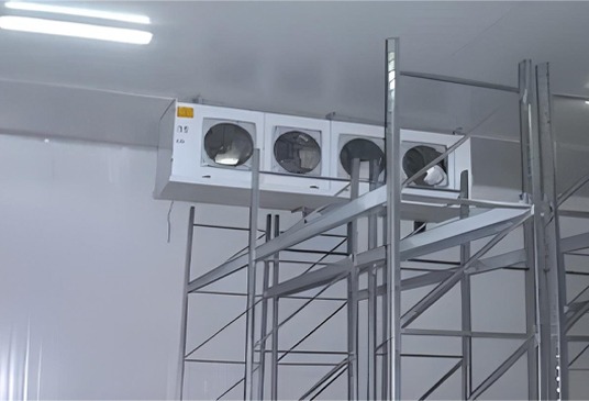 Grombalia-Beni-Khalled-Tunisia-2