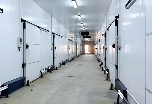 Third-Expansion-of-a-Fruit-Refrigeration-Bousalem-1