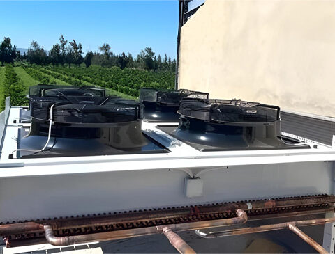 Third-Expansion-of-a-Fruit-Refrigeration-Bousalem-4