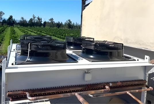 Third-Expansion-of-a-Fruit-Refrigeration-Bousalem-4