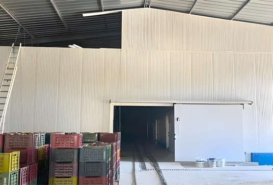 Third-Expansion-of-a-Fruit-Refrigeration-Bousalem-5
