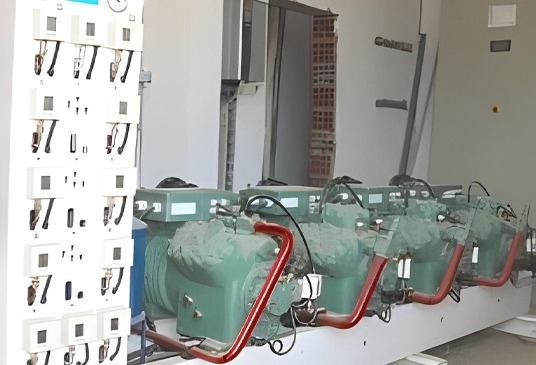 Third-Expansion-of-a-Fruit-Refrigeration-Bousalem-6jpg