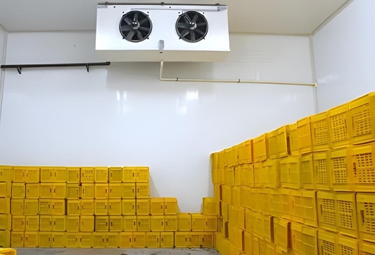 Third-Expansion-of-a-Fruit-Refrigeration-Bousalem-7