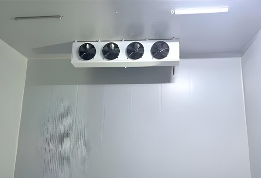 Third-Expansion-of-a-Fruit-Refrigeration-Bousalem-8