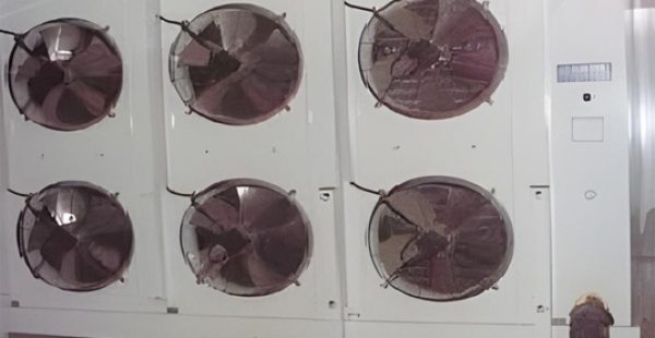 Construction-of-Negative-cold-rooms-for-Sopemsud-Ben-Gardane-1