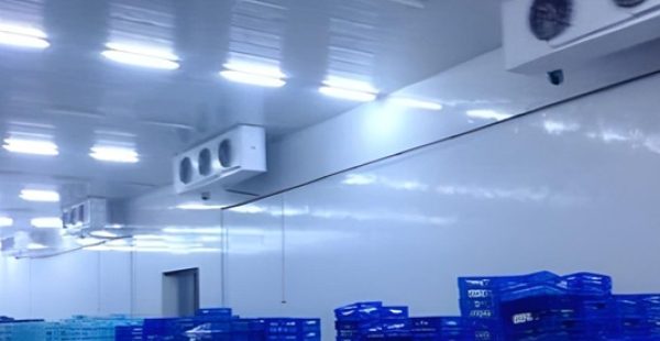 Construction-of-Positive-Cold-Room-with-Blast-Zone-and-Airlocks-Takelsa-1