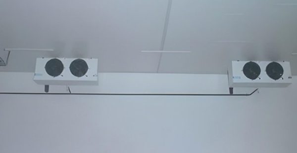 Construction-of-Refrigeration-Complex-for-Fruit-Processing-and-Export-El-Hamma-1