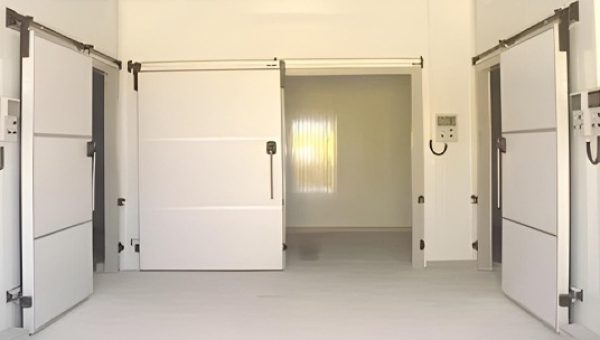 Construction-of-Refrigeration-Complex-with-Isothermal-Sorting-Room-El-Batan-1