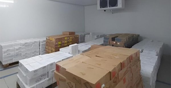 Construction-of-Refrigeration-Station-for-Dairy-and-Cheese-Storage--Naassen-2