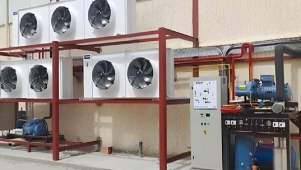 Export-Project-to-Algeria-2