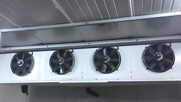 Extension-of-the-Refrigeration-Complex-with-Two-Negative-Cold-Rooms-ABCO-Thon-Sidi-Daoued-2