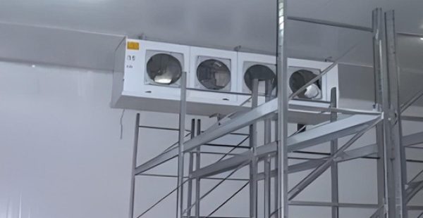 Grombalia-Beni-Khalled-Tunisia-2