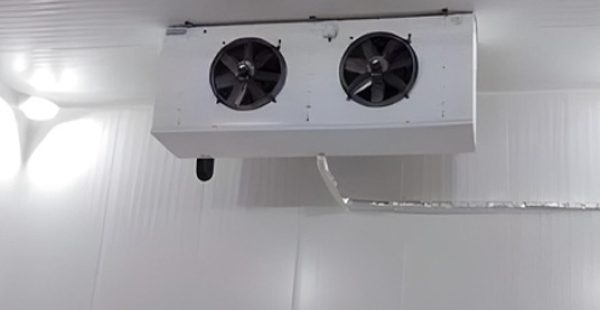 Negative-Refrigeration-Complex-for-Poultry-Slaughterhouse-Sfax-Taba-3